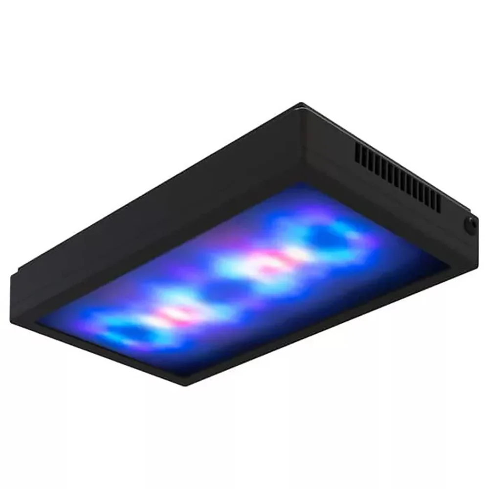 Ecotech LED Lighting Sale